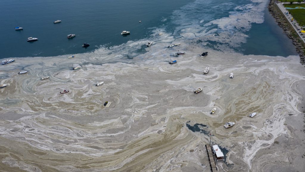 Carpet slime in the Mediterranean Sea pollutes the Turkish coast