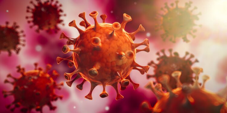 A graphic representation of the coronavirus.