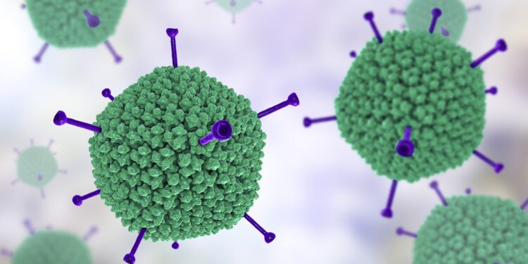 3D illustration of an adenovirus molecular model