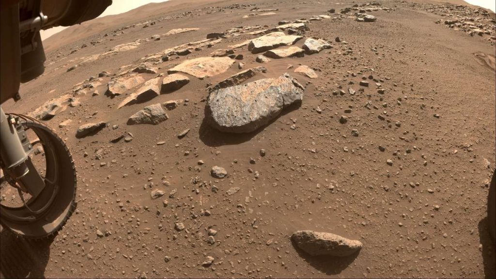 Mars: 'Partially Buried Skeletons' seen on NASA photo?  "It's a cemetery planet."