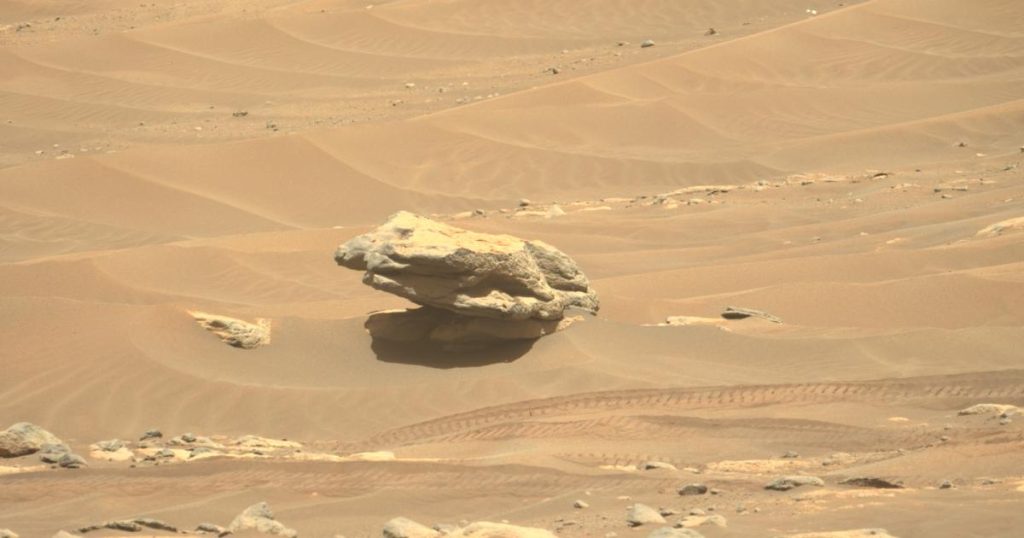 Mars rover discovers a frog-like rock