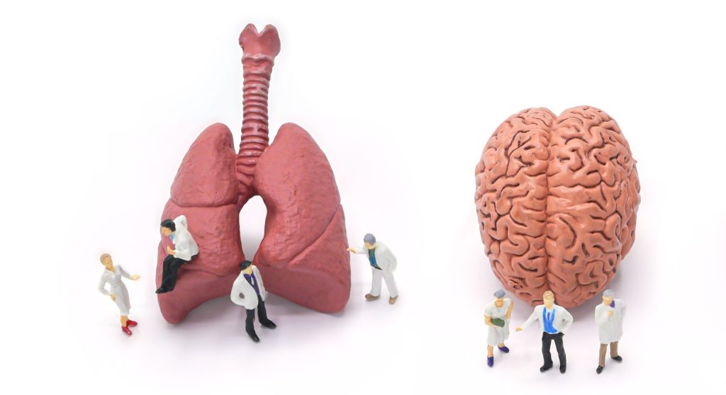 The brain is affected by lung flora - the practice of healing