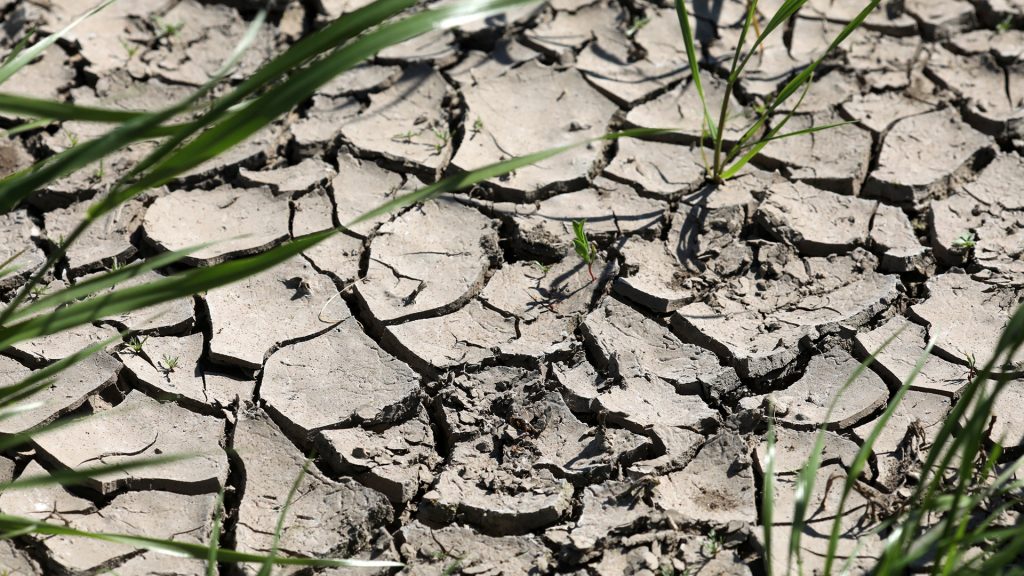 Consequences of climate change: Germany is slowly drying up