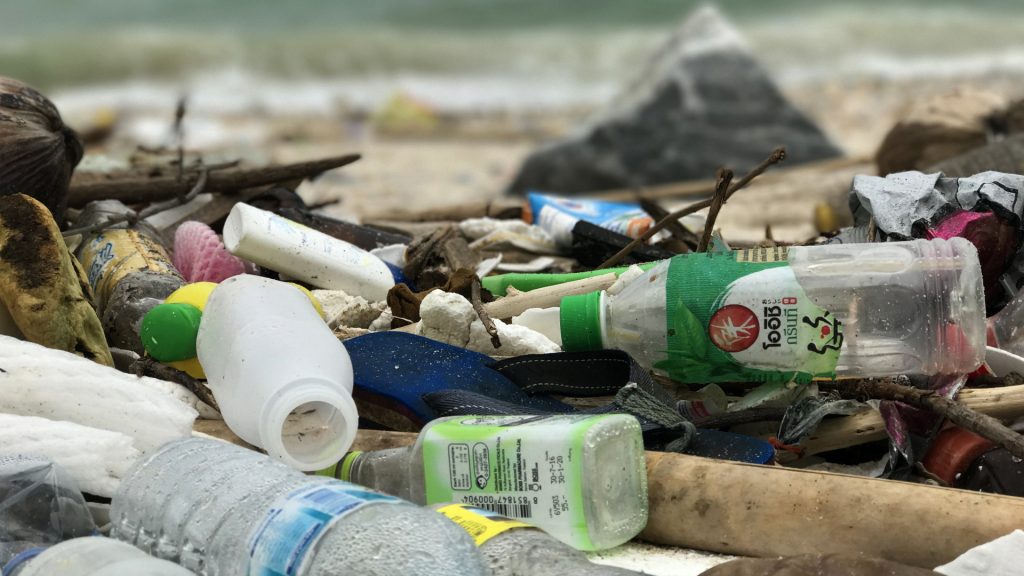 UN Assembly paves the way: global convention on plastic waste looms
