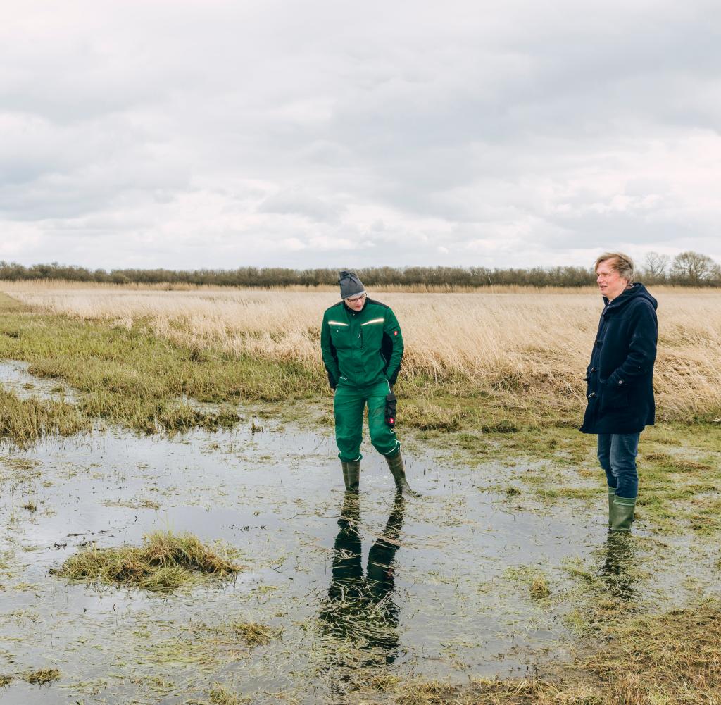 A large-scale revolutionary experiment: swamp farming in Mecklenburg