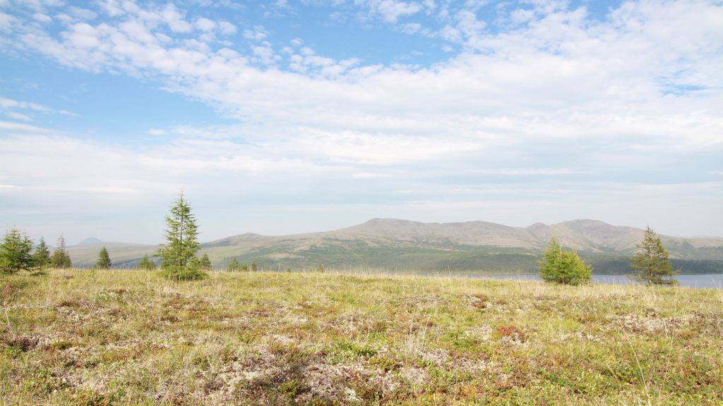 Because of global warming: Siberian tundra could largely disappear