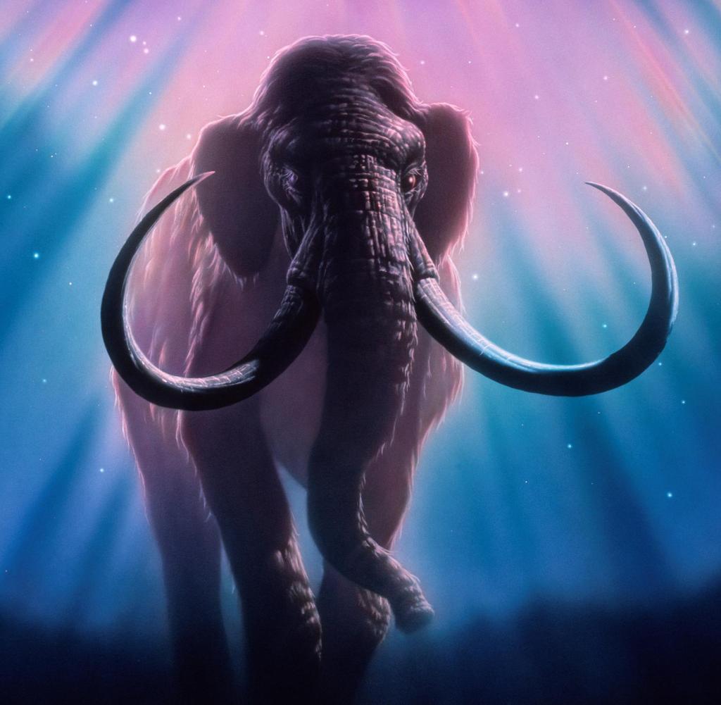 mammoths;  Mammoth (Mammuthus sp.) artwork at night below an auroral glow (pink) in the northern sky.  Mammoths were large mammals that adapted to the cold conditions of the Pleistocene Ice Age about two million years ago.  Ranged across North America, Europe and Asia.  The length of its fangs can exceed 3 meters.  Closely related to the elephant, it has been depicted in drawings of caves hunted by early humans.  The big mammoth became extinct about 10,000 years ago as the glaciers retreated.  It is believed that human predation has precipitated its end.  Auroras are caused by the collision of charged particles from the Sun (which are directed to the poles by the Earth's magnetic field) with the atmosphere.