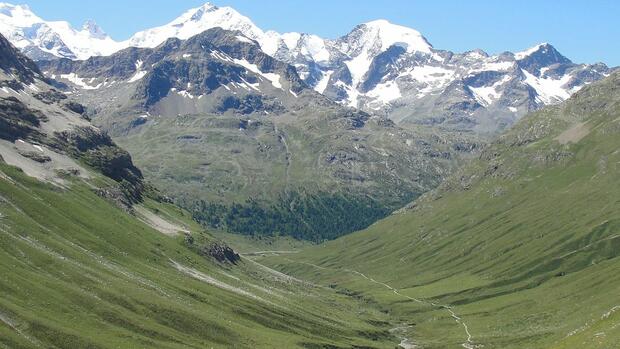 Study: Alps turning green under climate change