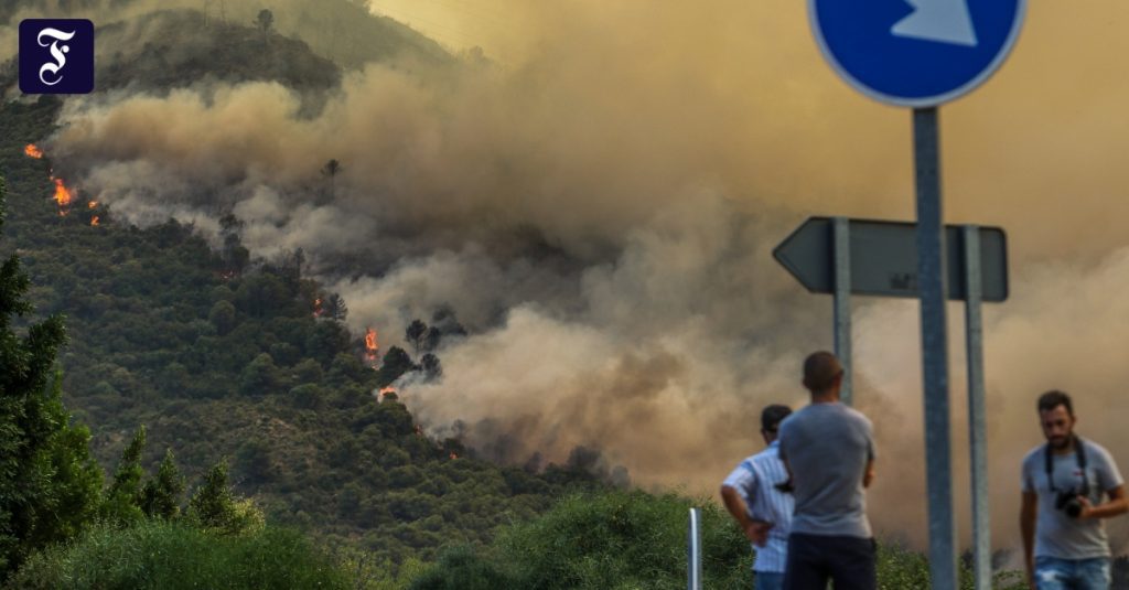 Forest fires in southern Europe