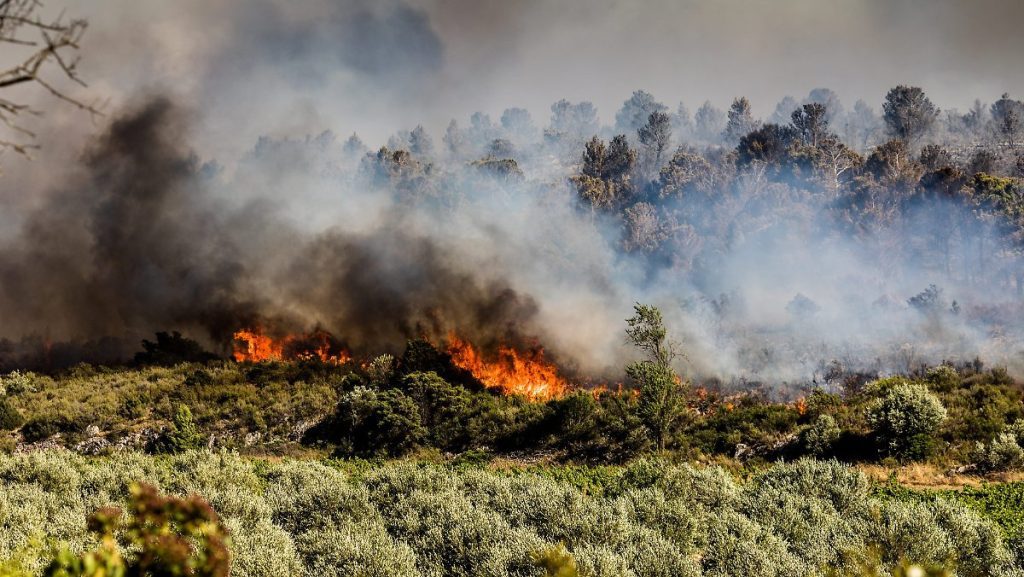 Visibly increased: the fire season is increasing due to climate change