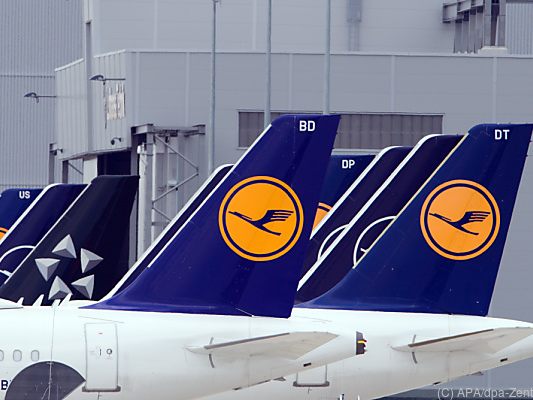 Warning strikes paralyze Lufthansa - about 1,000 flights canceled - economy -