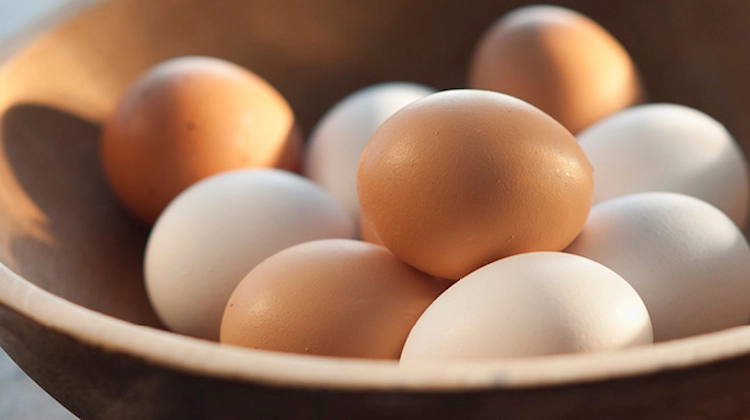 Organic eggs are collected in a bowl ready for daily consumption that is full of antioxidant properties