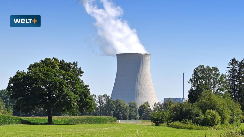 Life Extension: Real Replacement Potential for Nuclear Power Plants