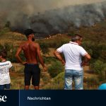 3000 hectares destroyed in forest fires in Portugal