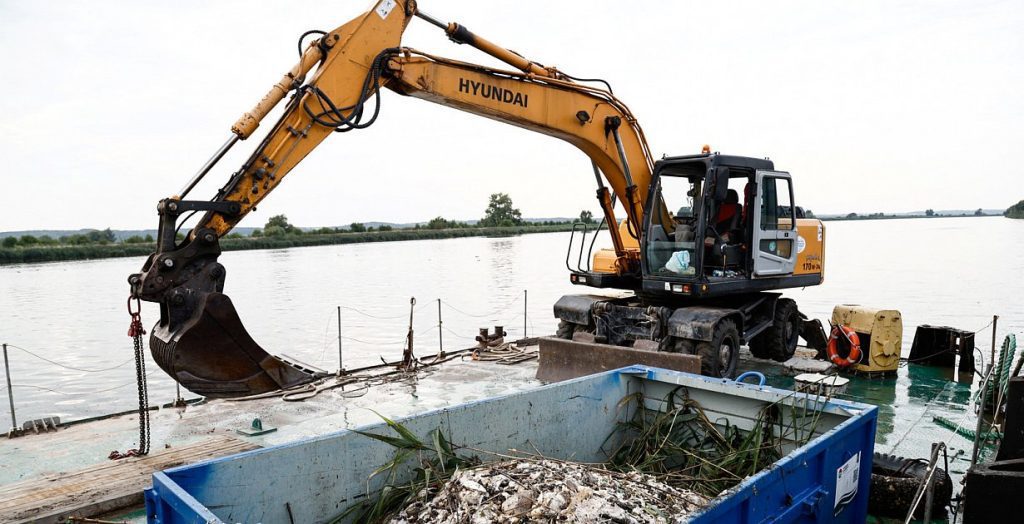 OR - Nearly 160 tons of dead fish were found in Poland