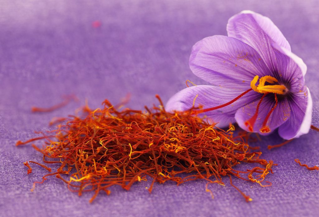 Saffron against chronic inflammatory bowel disease - a healing practice