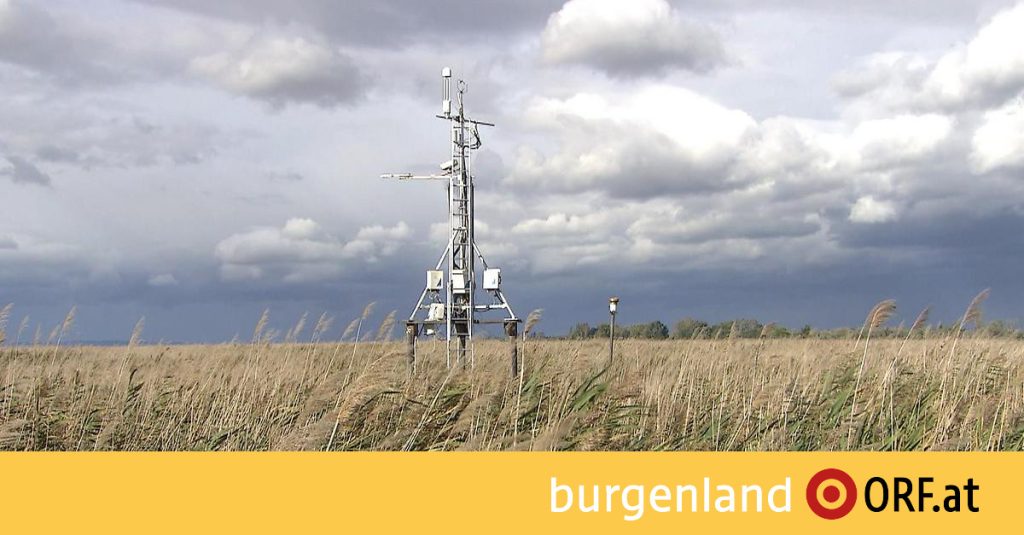 International research project in Elmitz - burgenland.ORF.at