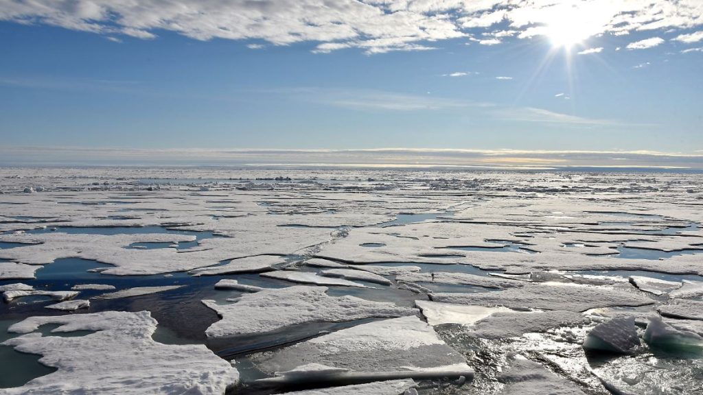Dangerous to some fish: The Arctic Ocean may become more acidic in summer