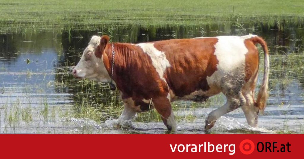Climate change: pictures to be shaken - vorarlberg.ORF.at