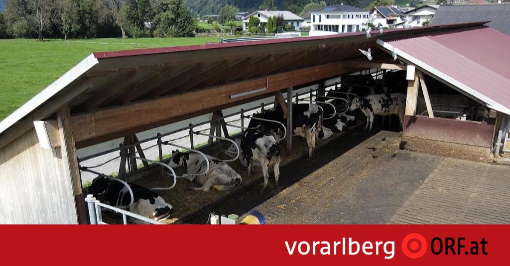 Animal Welfare Initiative for better animal husbandry - vorarlberg.ORF.at
